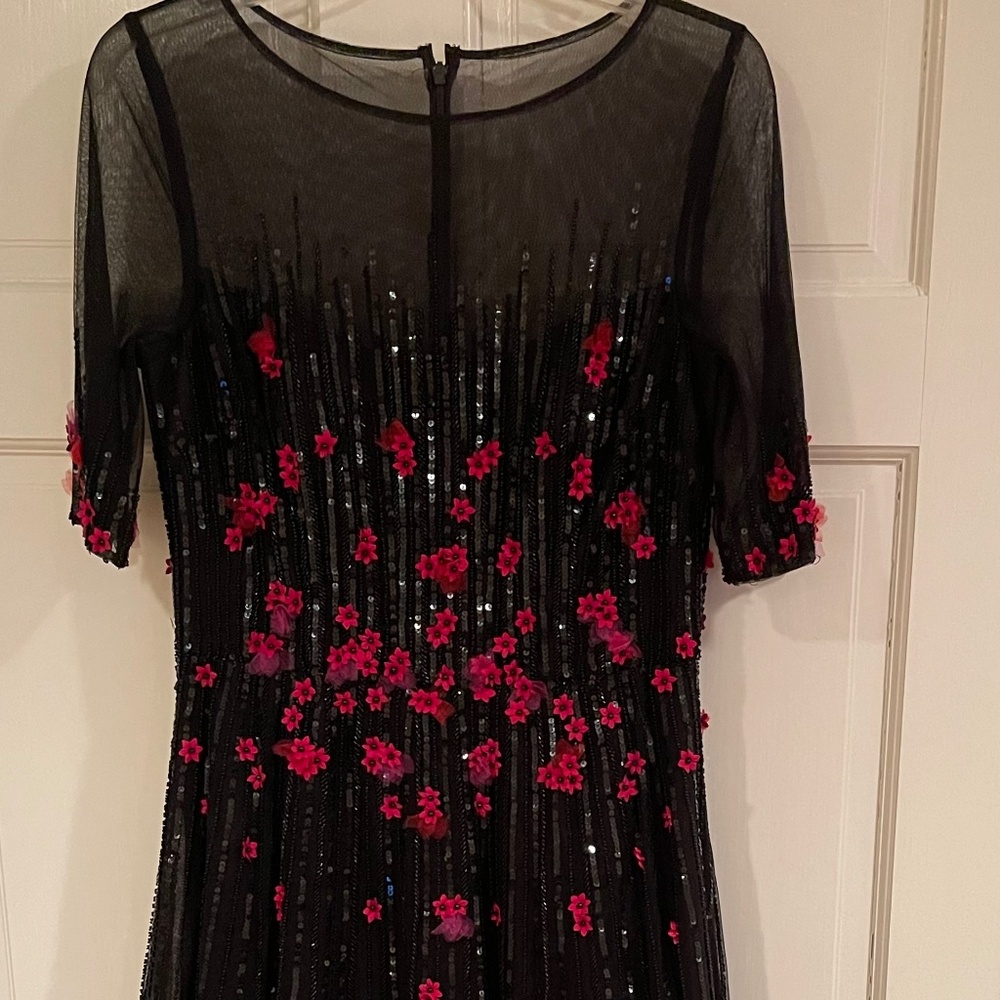 Nicki Freeman -Teri Jon Dress